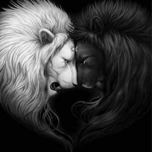 Meet your Posher, Maci